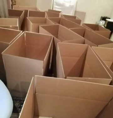 WhatsApp Image 2026-01-06 at 1.55.45 PM (1)